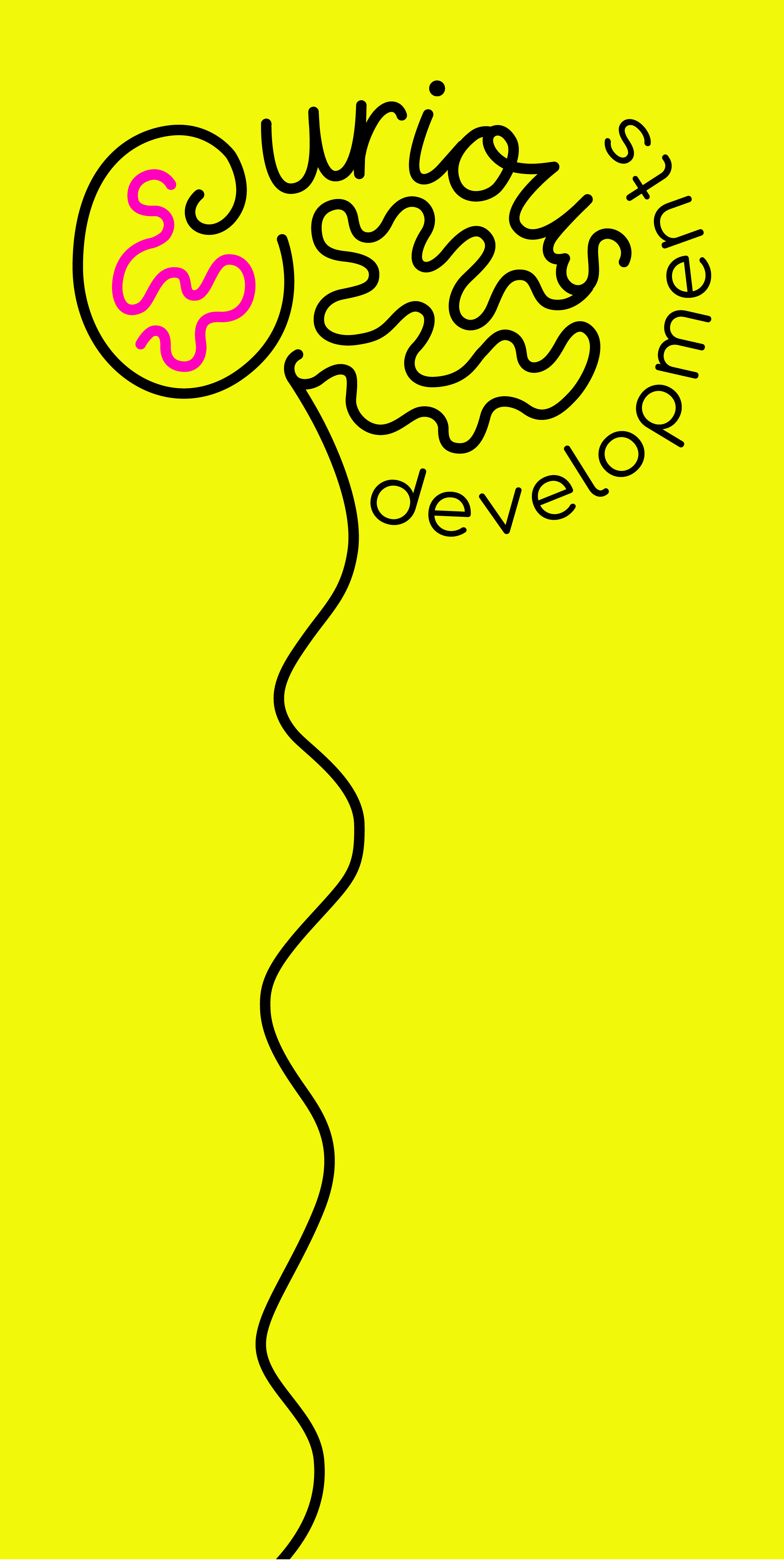 Curious Developments logo